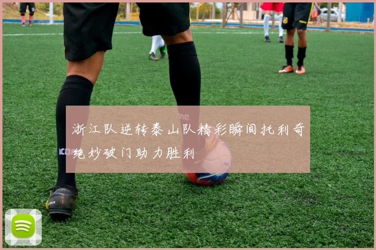 浙江队逆转泰山队精彩瞬间托利奇绝妙破门助力胜利